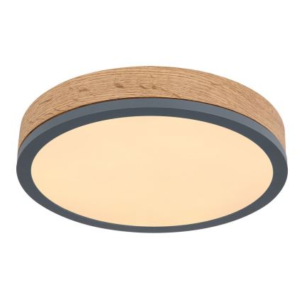 Globo - LED Kattovalo LED/12W/230V d. 30 cm