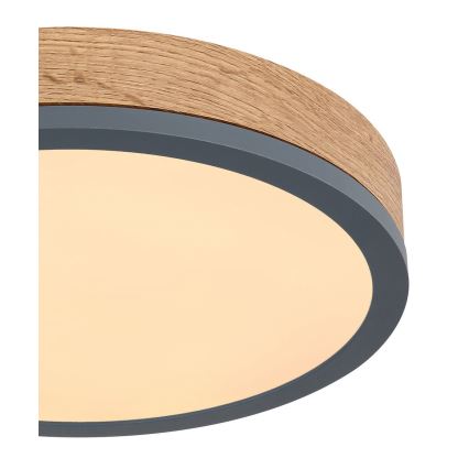 Globo - LED Kattovalo LED/12W/230V d. 30 cm