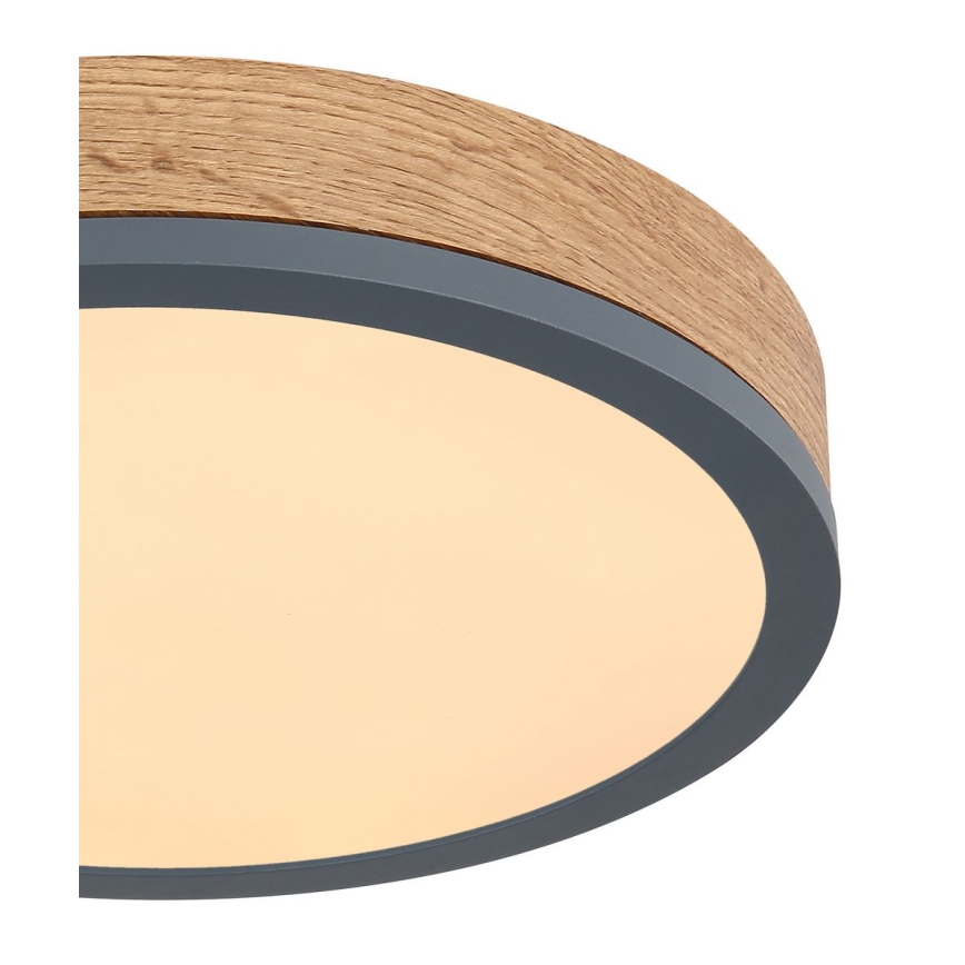Globo - LED Kattovalo LED/12W/230V d. 30 cm