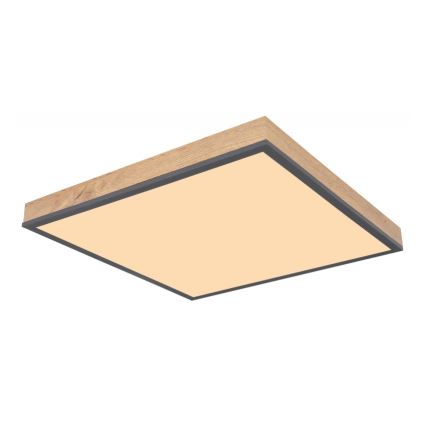 Globo - LED-kattovalaisin LED/24W/230V