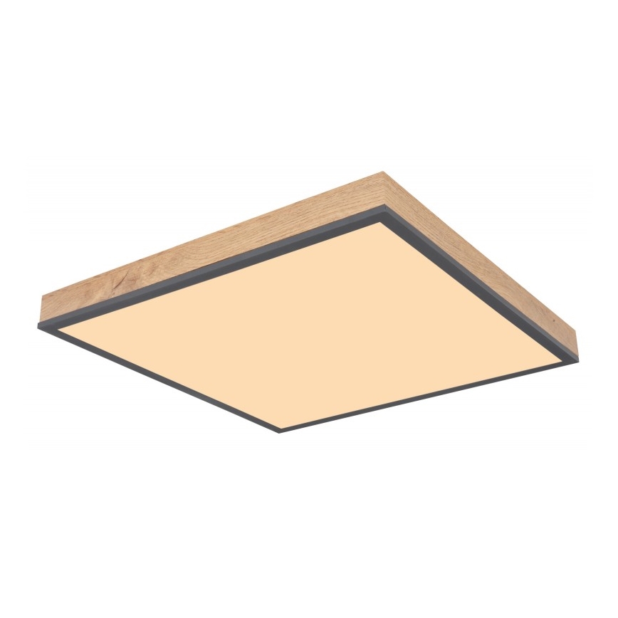 Globo - LED-kattovalaisin LED/24W/230V