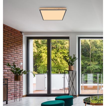 Globo - LED-kattovalaisin LED/36W/230V