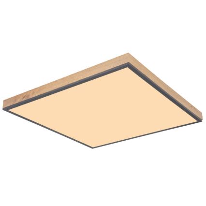Globo - LED-kattovalaisin LED/36W/230V