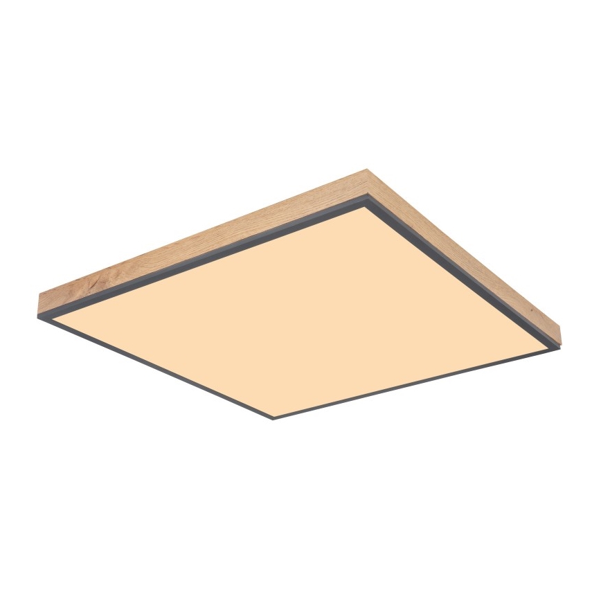 Globo - LED-kattovalaisin LED/36W/230V