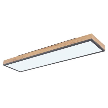 Globo - Himmennettävä LED-kattovalaisin LED/24W/230V 2700-6500K + kauko-ohjaus