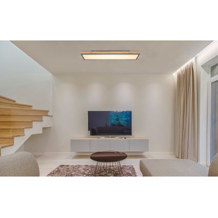 Globo - LED-kattovalaisin LED/24W/230V