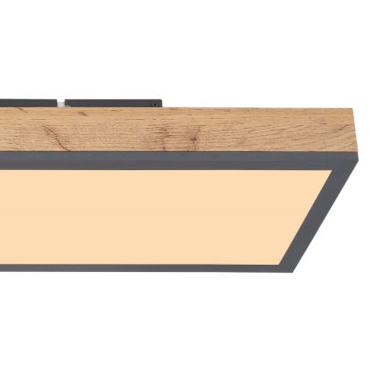 Globo - LED-kattovalaisin LED/24W/230V