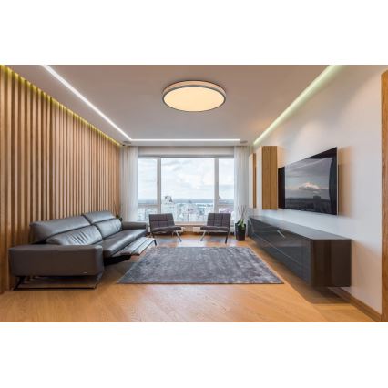 Globo - Himmennettävä LED-kattovalaisin LED/40W/230V 2700-6500K halkaisija 60 cm + kauko-ohjaus ruskea/harmaa