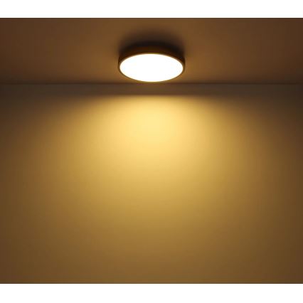 Globo - Himmennettävä LED-kattovalaisin LED/40W/230V 2700-6500K halkaisija 60 cm + kauko-ohjaus ruskea/harmaa