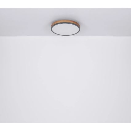 Globo - Himmennettävä LED-kattovalaisin LED/40W/230V 2700-6500K halkaisija 60 cm + kauko-ohjaus ruskea/harmaa