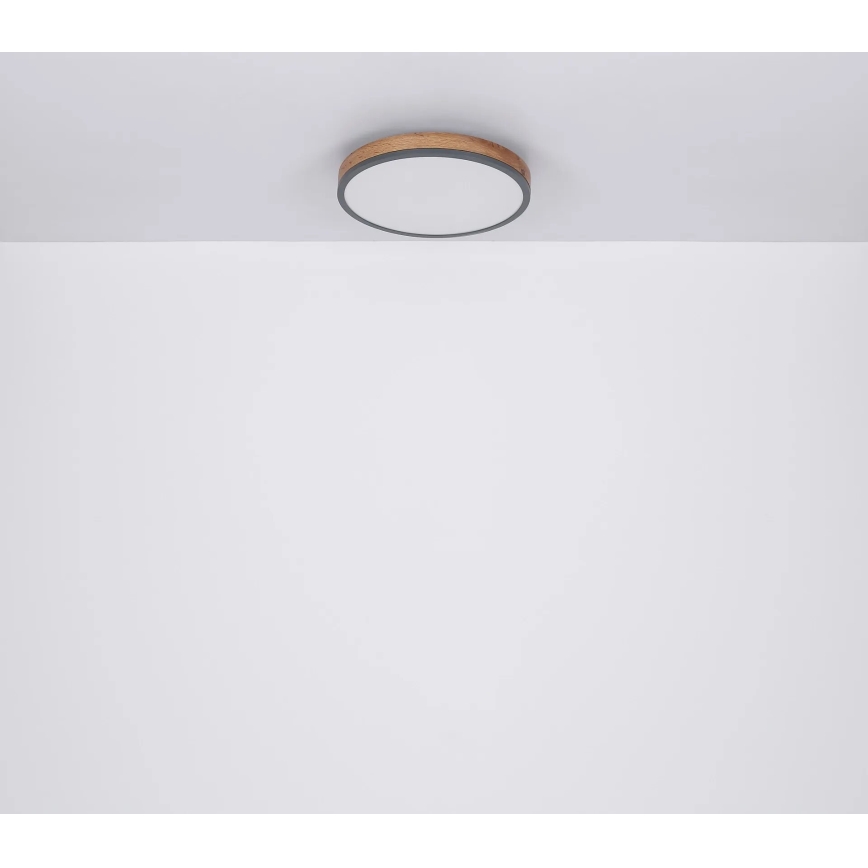 Globo - Himmennettävä LED-kattovalaisin LED/40W/230V 2700-6500K halkaisija 60 cm + kauko-ohjaus ruskea/harmaa