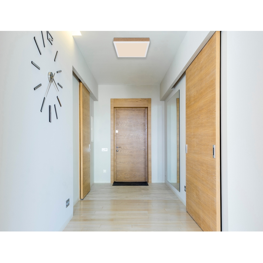 Globo - LED-kattovalaisin LED/12W/230V 30x30 cm ruskea