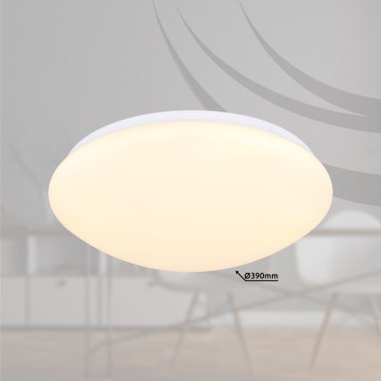 Globo - LED-kattovalaisin LED/18W/230V