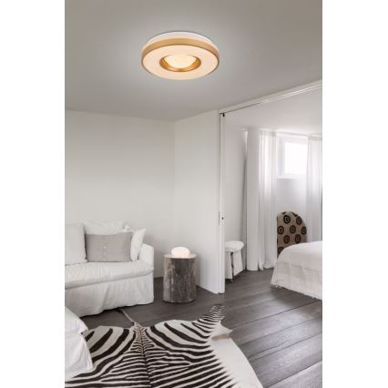 Globo - LED-kattovalaisin LED/24W/230V