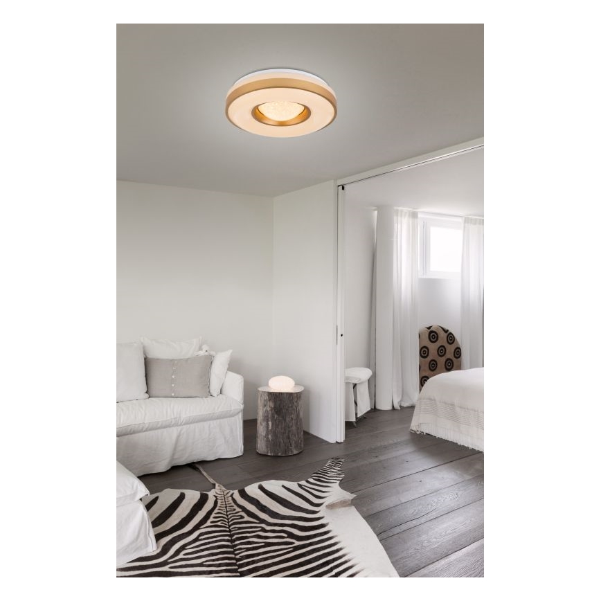 Globo - LED-kattovalaisin LED/24W/230V