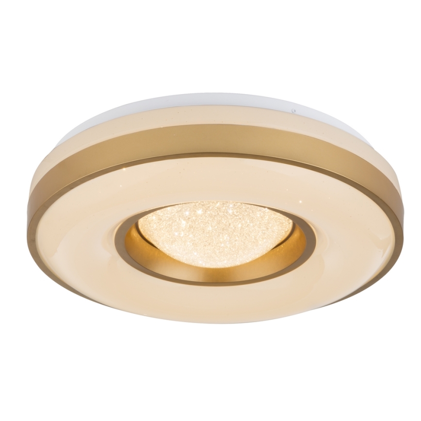 Globo - LED-kattovalaisin LED/24W/230V