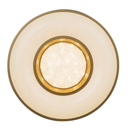 Globo - LED-kattovalaisin LED/24W/230V