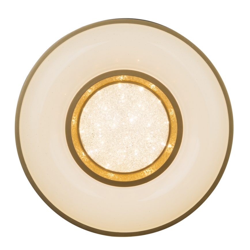 Globo - LED-kattovalaisin LED/24W/230V