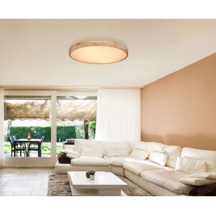 Globo - LED Himmennettävä kattovalo LED/60W/230V 3000-6000K + kaukosäädin