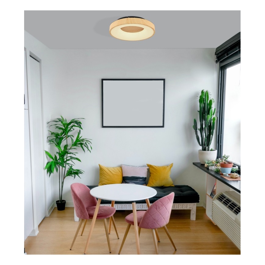 Globo - Himmennettävä LED-kattovalaisin LED/30W/230V + kauko-ohjaus