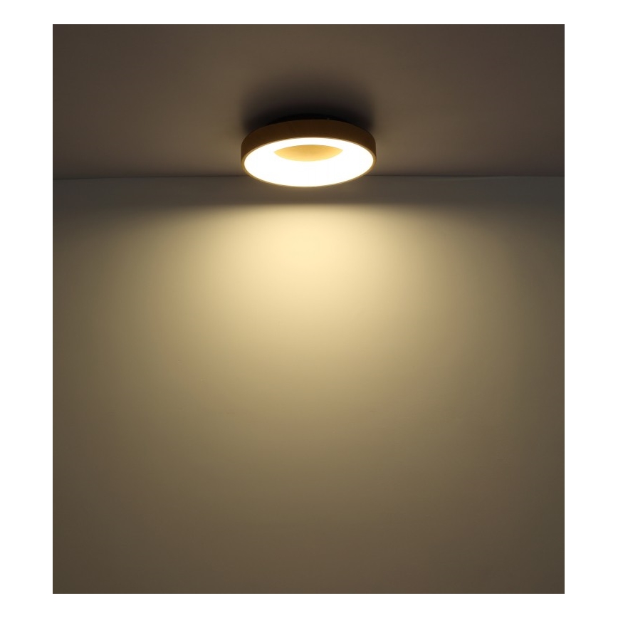 Globo - Himmennettävä LED-kattovalaisin LED/30W/230V + kauko-ohjaus