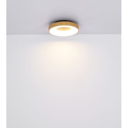 Globo - Himmennettävä LED-kattovalaisin LED/30W/230V + kauko-ohjaus