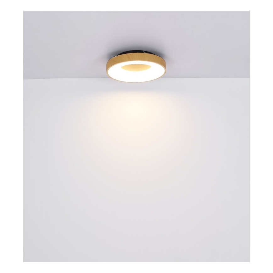 Globo - Himmennettävä LED-kattovalaisin LED/30W/230V + kauko-ohjaus