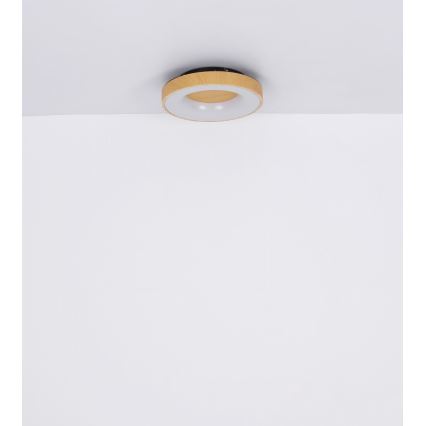 Globo - Himmennettävä LED-kattovalaisin LED/30W/230V + kauko-ohjaus