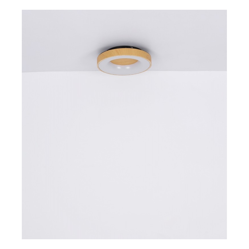 Globo - Himmennettävä LED-kattovalaisin LED/30W/230V + kauko-ohjaus