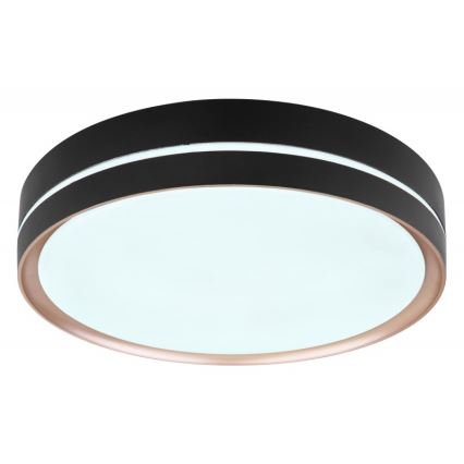 Globo - Himmennettävä LED-kattovalaisin LED/24W/230V + kauko-ohjaus