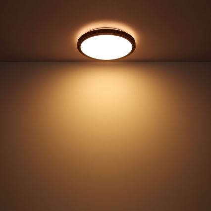 Globo - LED Kattovalo LED/12W/230V 307 mm 3000/4500/6000K