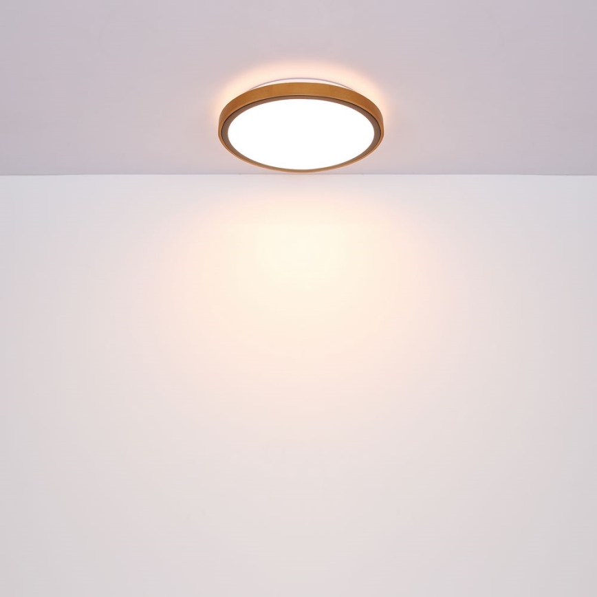 Globo - LED-kattovalaisin LED/24W/230V 3000/4500/6000K halkaisija 43,7 cm
