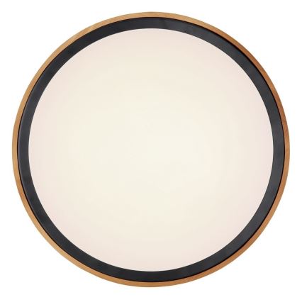 Globo - LED-kattovalaisin LED/24W/230V 3000/4500/6000K halkaisija 43,7 cm