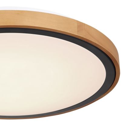 Globo - LED-kattovalaisin LED/24W/230V 3000/4500/6000K halkaisija 43,7 cm