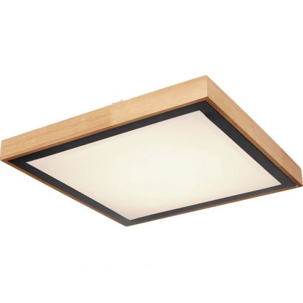 Globo - LED-kattovalaisin LED/24W/230V 3000/4500/6000K