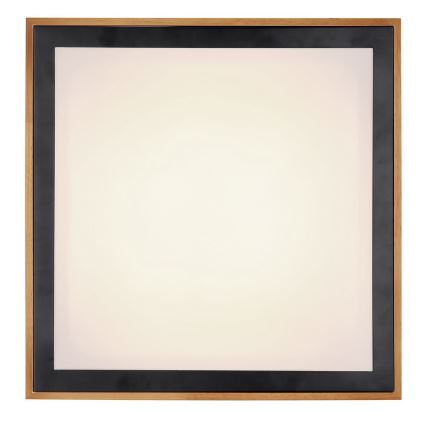 Globo - LED-kattovalaisin LED/24W/230V 3000/4500/6000K