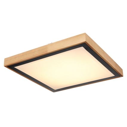 Globo - LED-kattovalaisin LED/24W/230V 3000/4500/6000K
