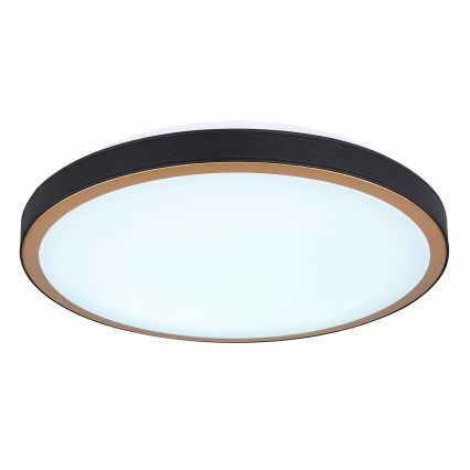 Globo - LED-kattovalaisin LED/24W/230V 3000/4500/6000K halkaisija 42 cm
