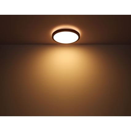 Globo - LED-kattovalaisin LED/12W/230V 3000/4500/6000K halkaisija 30 cm
