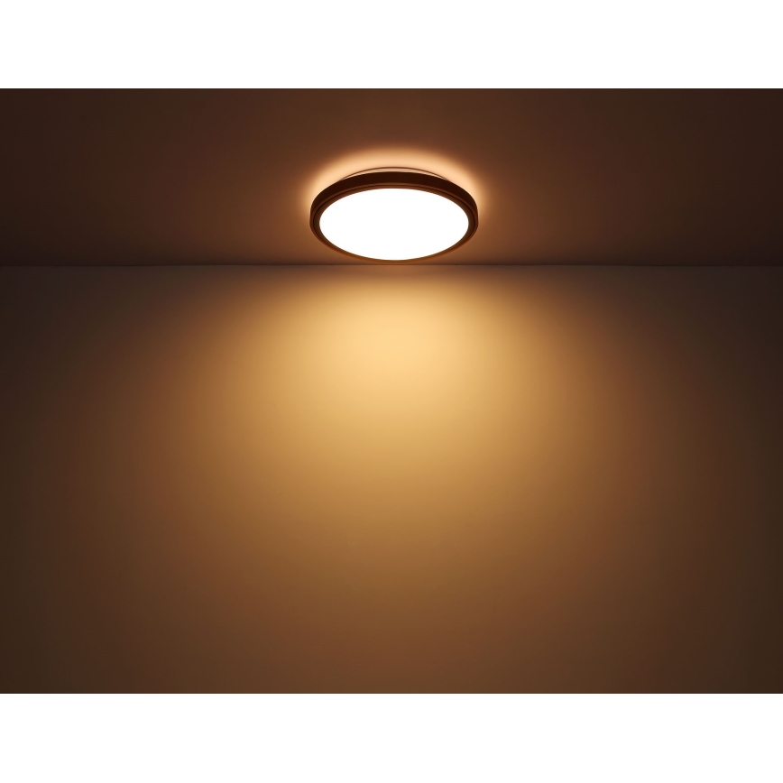 Globo - LED-kattovalaisin LED/12W/230V 3000/4500/6000K halkaisija 30 cm