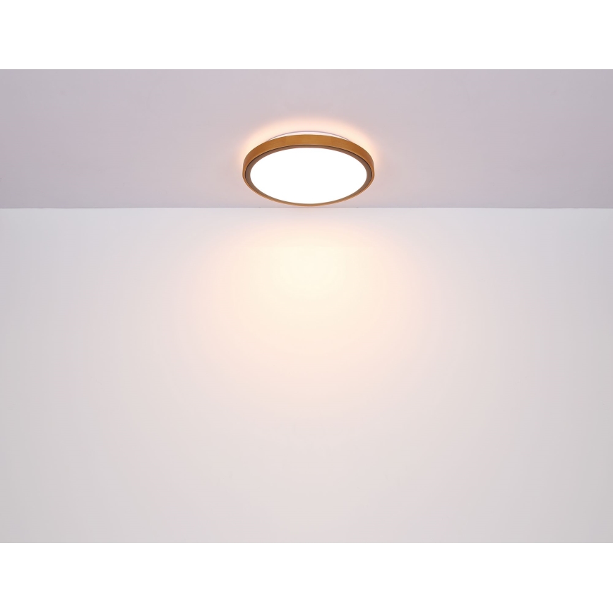 Globo - LED-kattovalaisin LED/12W/230V 3000/4500/6000K halkaisija 30 cm