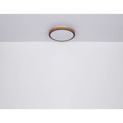 Globo - LED-kattovalaisin LED/12W/230V 3000/4500/6000K halkaisija 30 cm