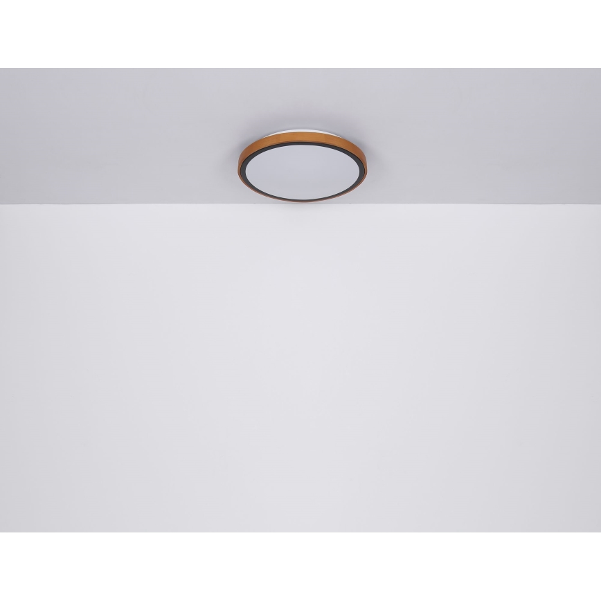 Globo - LED-kattovalaisin LED/12W/230V 3000/4500/6000K halkaisija 30 cm