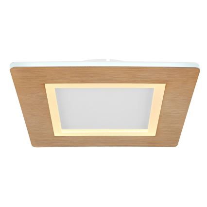 Globo - LED-kattovalaisin LED/23W/230V 2700/6500K