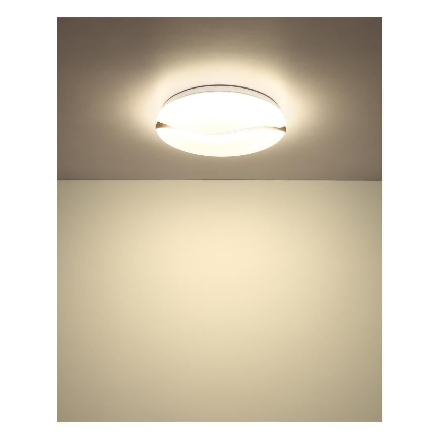 Globo - LED-kattovalaisin LED/24W/230V 3000/4200/6000K halkaisija 33 cm
