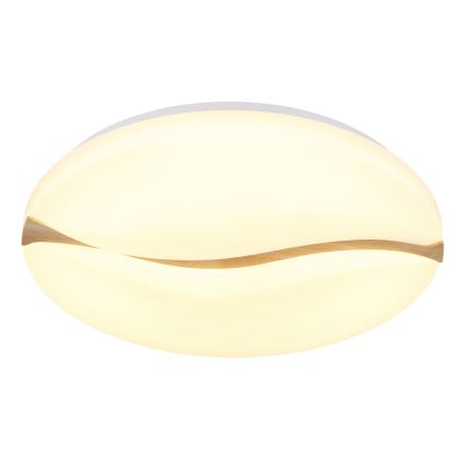 Globo - LED-kattovalaisin LED/24W/230V 3000/4200/6000K halkaisija 33 cm