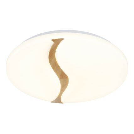 Globo - LED-kattovalaisin LED/24W/230V 3000/4200/6000K halkaisija 33 cm