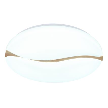 Globo - LED-kattovalaisin LED/24W/230V 3000/4200/6000K halkaisija 33 cm