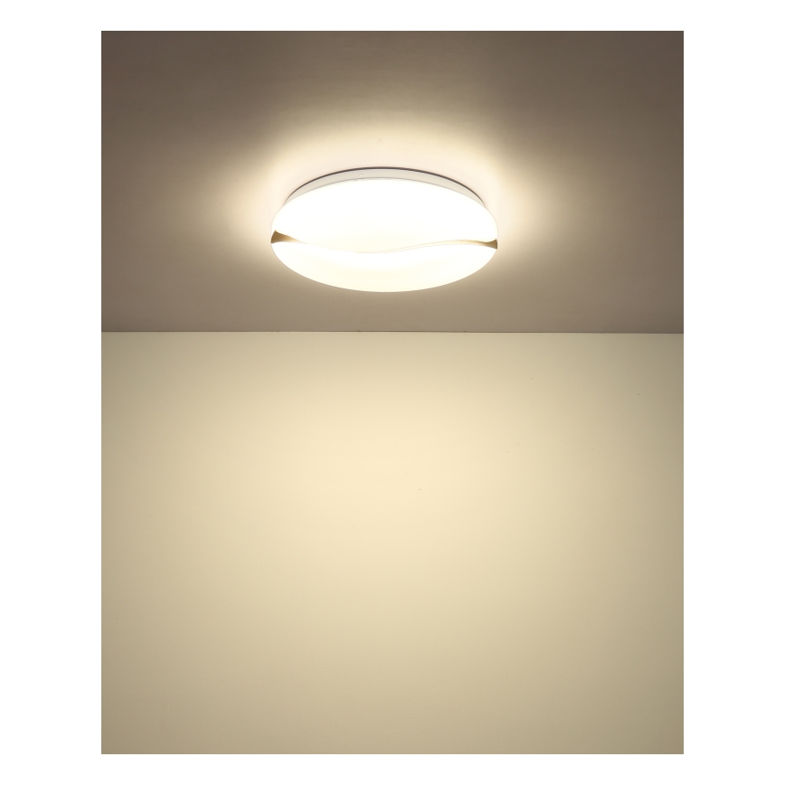 Globo - LED-kattovalaisin LED/24W/230V 3000/4200/6000K halkaisija 39 cm