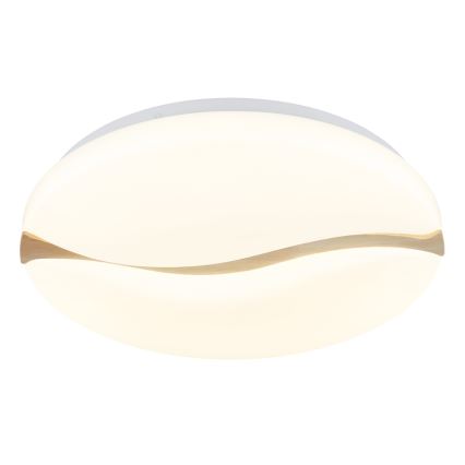 Globo - LED-kattovalaisin LED/24W/230V 3000/4200/6000K halkaisija 39 cm